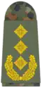 Alemanha:Generalleutnant