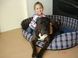 Em família com crianças