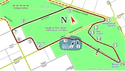 Circuito de rua de Adelaide