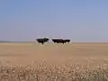 Campos de trigo no Baixo Alentejo