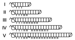 Estádios do crescimento