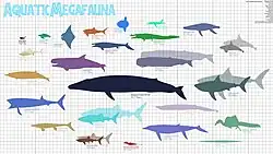 Silhuetas de vários grandes animais aquáticos, comparando-se o tamanho. Ao centro, destaca-se o maior de todos, a baleia-azul.