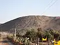 Geoglifos em Arica(Chile).