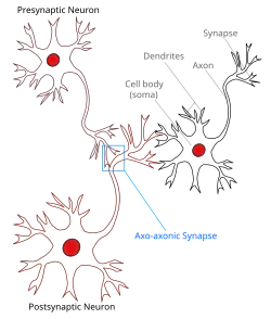 Representação da sinapse neuronal