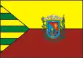 Bandeira de São Raimundo Nonato