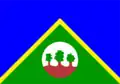 Bandeira de Alta Floresta D'Oeste