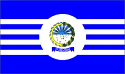 Bandeira de Capinzal