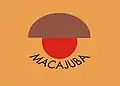 Bandeira de Macajuba