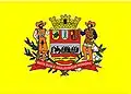Bandeira de Mogi Mirim