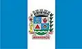 Bandeira de Manhuaçu