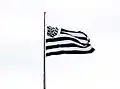 Bandeira do Figueirense