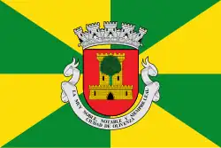 Bandeira de Olivença