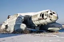 Bartini Beriev VVA-14