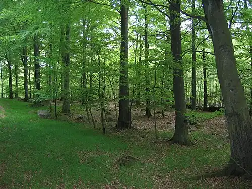 Parque Nacional de Söderåsen, a leste de Helsingborg
