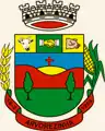 Brasão de armas de Arvorezinha