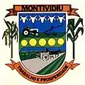 Brasão de armas de Montividiu