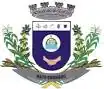 Brasão de armas de Mato Queimado
