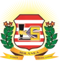 Brasão de armas de Solânea