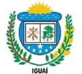 Brasão de armas de Iguaí