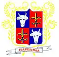 Brasão de armas de Itapetinga