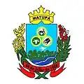 Brasão de armas de Matupá