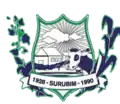 Brasão de armas de Surubim