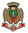 Brasão de armas de Flores da Cunha