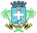 Brasão de armas de Bocaiuva