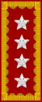 Chile:General de Ejército (CEJ)