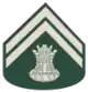 Exército Brasileiro(Cabo)