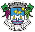 Brasão de armas de Caldas