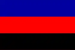 Bandeira da Carbonária