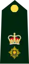 Exército Canadense(Lieutenant Colonel)