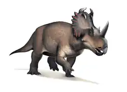 Centrosaurus apertus