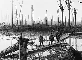 Atiradores australianos na Floresta de Château, próxima a Hooge, em 29 de outubro de 1917.