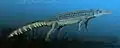 Chenanisuchus lateroculi  Um crocodilo  Comprimento: 4 m