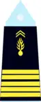 França (Gendarmarie):Colonel
