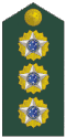 Brasil:Coronel
