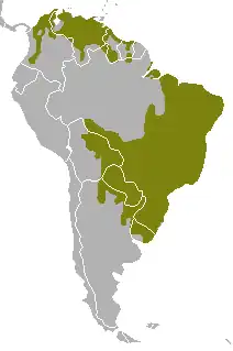 Distribuição do graxaim-do-mato