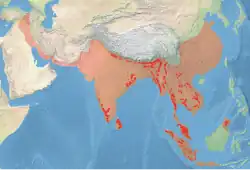 Distribuição do elefante asiático: Original (vermelho claro), Atual (vermelho escuro).