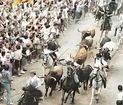 Entrada de touros e cavalos de Segorbe.