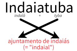 Indaiatuba: indaîá + tyba