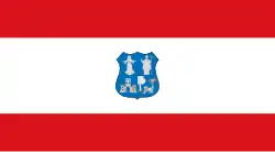 Bandeira de Assunção