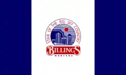 Bandeira de Billings