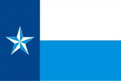 Bandeira de Condado de Dallas