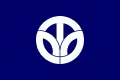 Bandeira de Fukui