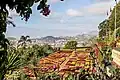 Jardim Botânico da Madeira