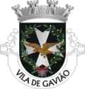 Brasão de Gavião