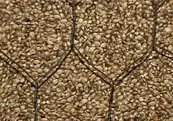 Sementes de cânhamo inteiras