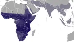Distribuição geográfica dos herpestídeos
